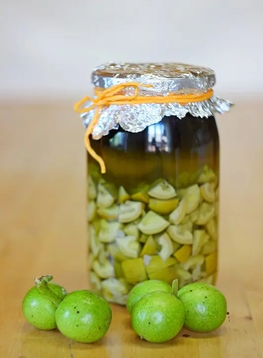 How to make and take green walnut tincture on vodka