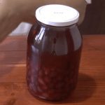 How to make dogwood liqueur at home &#8211; 3 recipes