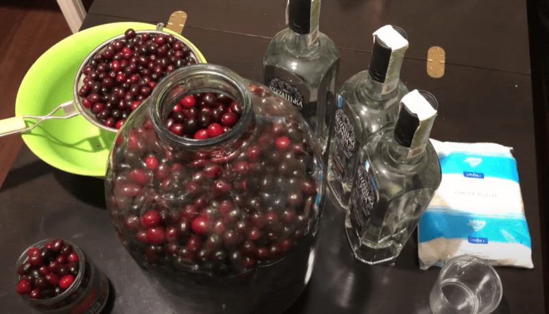 How to make dogwood liqueur at home &#8211; 3 recipes