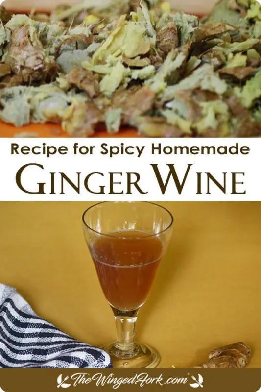 How to make ginger wine &#8211; old and new recipes