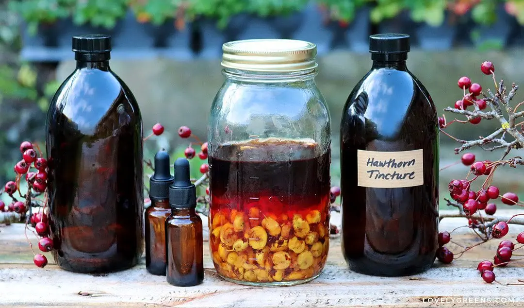 How to make hawthorn tincture at home