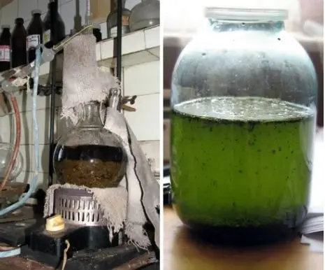 How to make homemade absinthe from ordinary moonshine: my experience