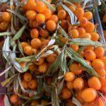 How to make homemade sea buckthorn liqueur &#8211; 4 recipes