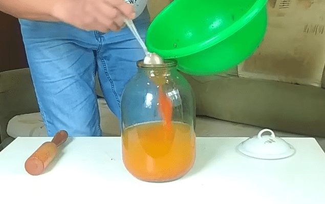 How to make homemade sea buckthorn liqueur &#8211; 4 recipes