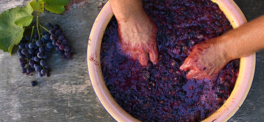 How to make homemade wine from grapes (red or white)