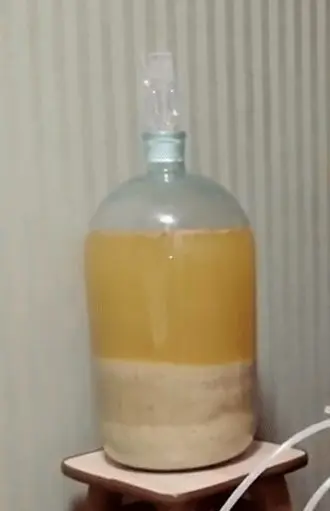 How to make rice wine at home &#8211; two of the best recipes