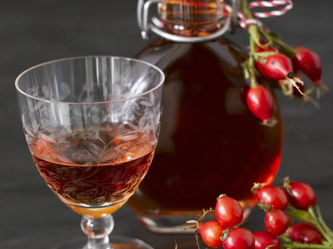 How to make rosehip liqueur at home &#8211; 3 recipes