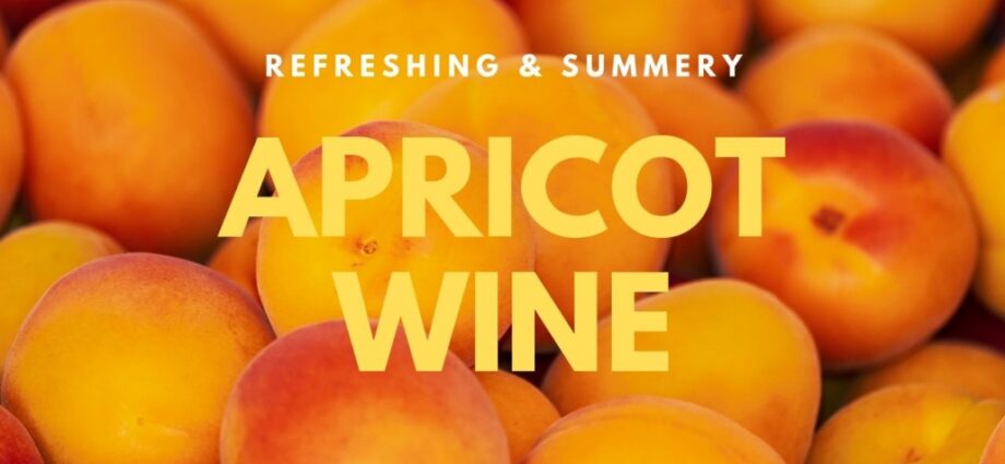 How to make wine from apricots