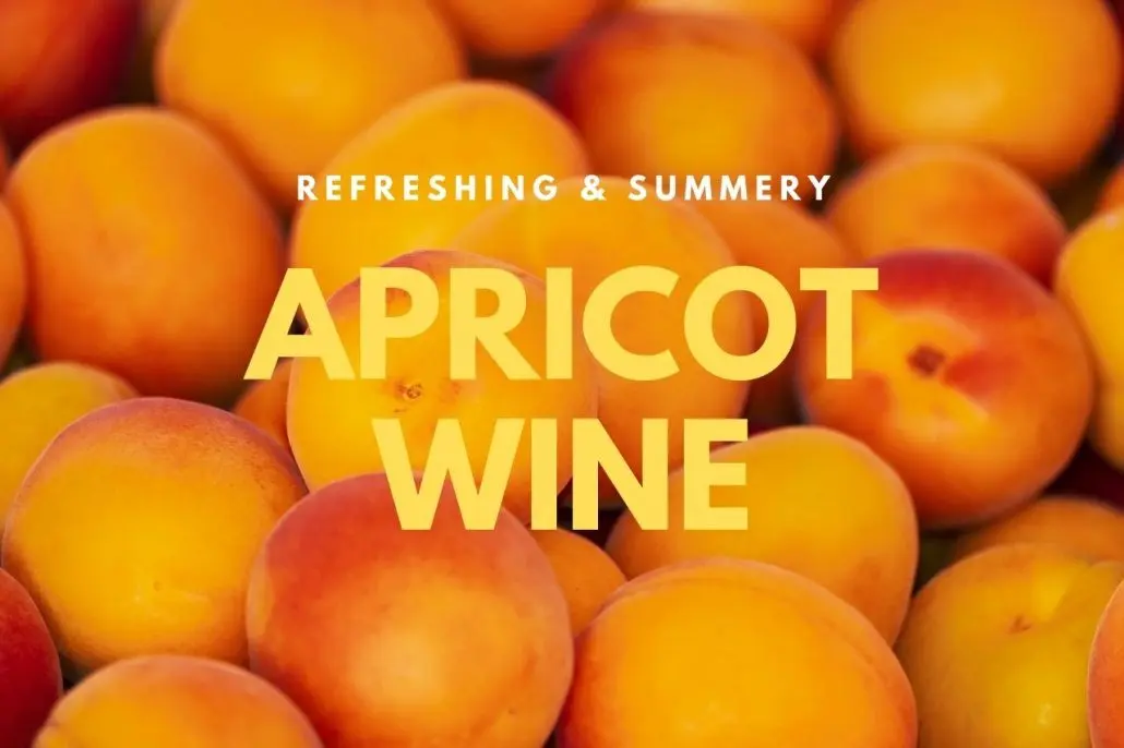 How to make wine from apricots