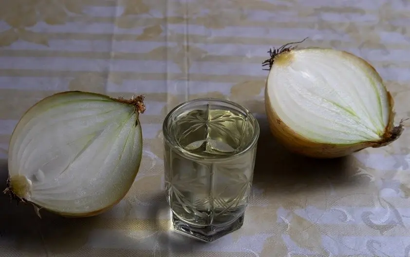 How to prepare and take onion tincture