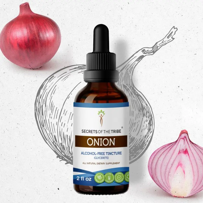 How to prepare and take onion tincture