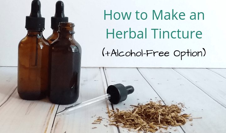 How to prepare and take tincture of chaga (birch fungus)