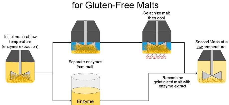 How to put mash on enzymes A and G