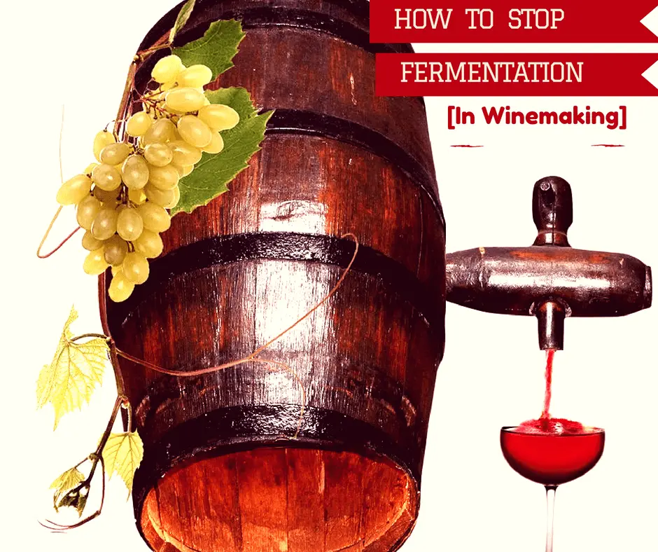 How to stop wine fermentation: 3 ways at home