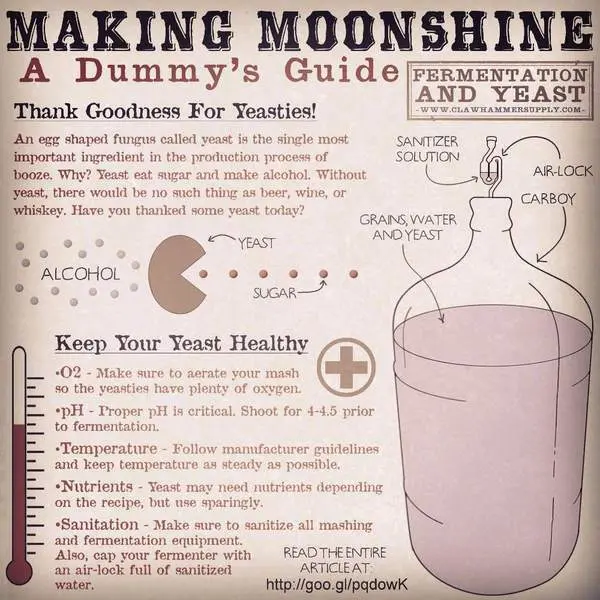 I have been making moonshine for 15 years and I realized one thing &#8211; there is nothing tastier than horseradish: my recipe