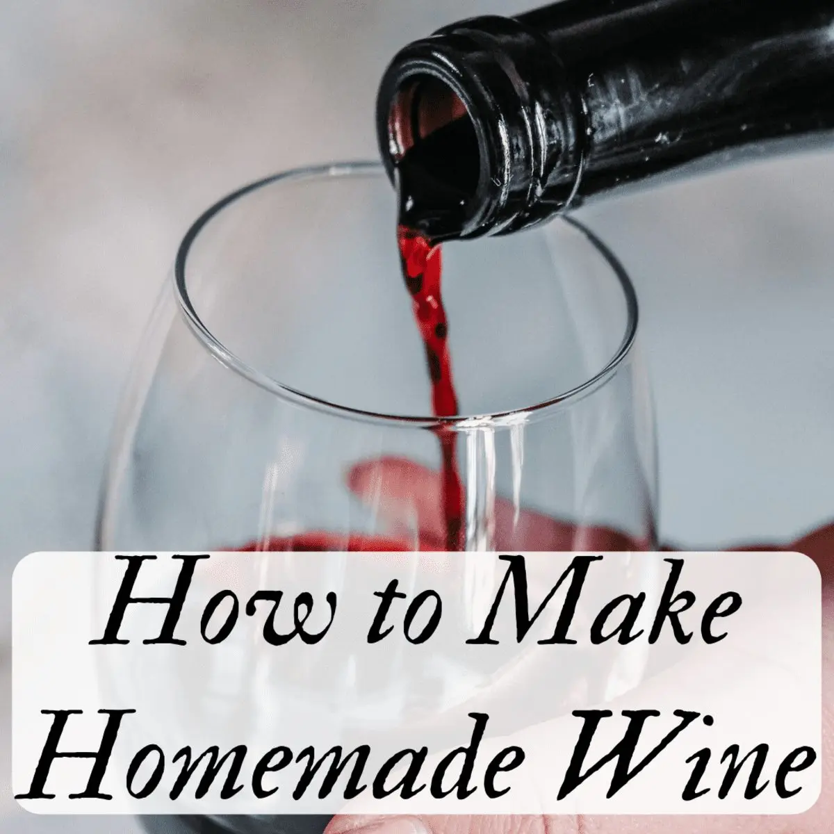 I make the simplest wine from the remains of grapes, sugar and water: I share my experience