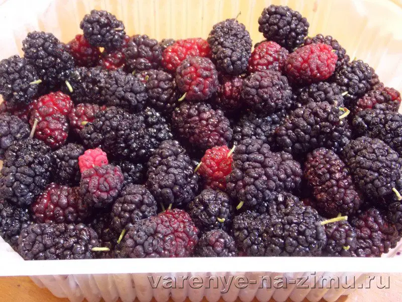 I spread an oilcloth under a mulberry tree, picked up berries and make vodka from them: the main thing is not to listen to experts who advise adding sugar and yeast