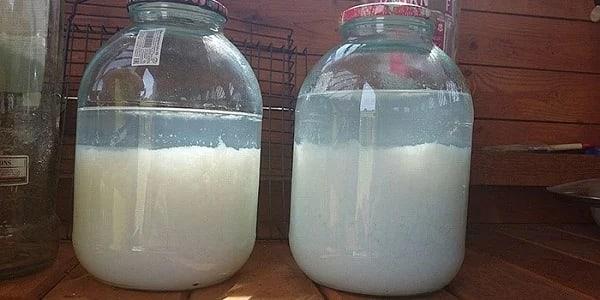 I started making moonshine, but it smells bad &#8211; I tell you what is the reason and how to fix it quickly