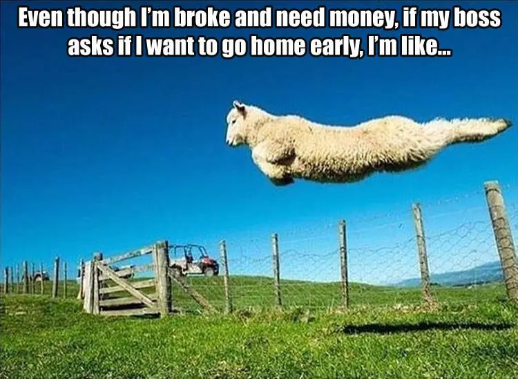 &#8220;I want to go home early&#8221;