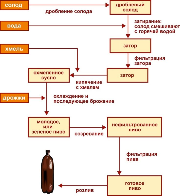 Industrial technology for the production of beer