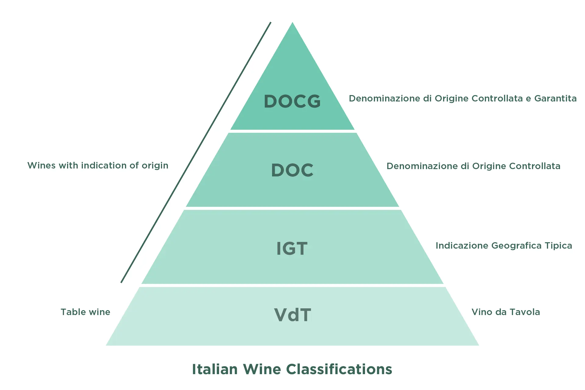 Italian wine: what does DOCG, DOC, IGT, VdT mean + 7 popular brands