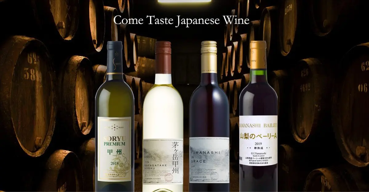 Japanese wine: history, unique differences, types, winemaking regions, interesting facts