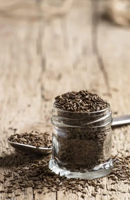 Kümmel &#8211; cumin tincture for true gourmets