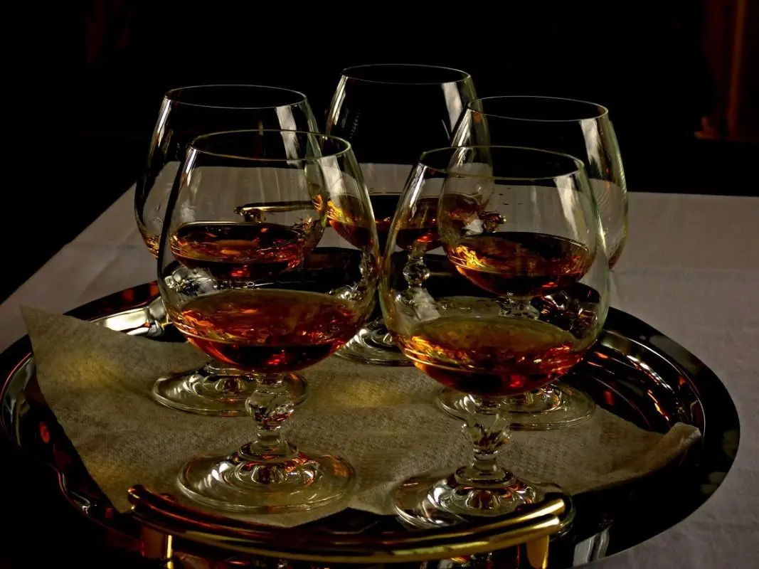 Kazakh cognacs (brandy): features, history, famous brands