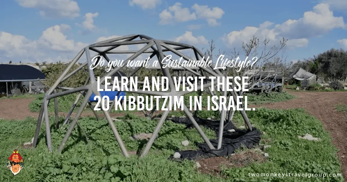 Kibbutzim: what is so attractive about life in the community?