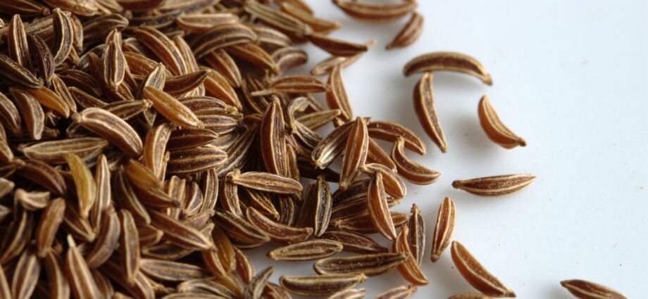 Kümmel &#8211; cumin tincture for true gourmets