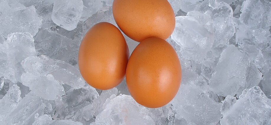 Leave for the future: why freeze eggs