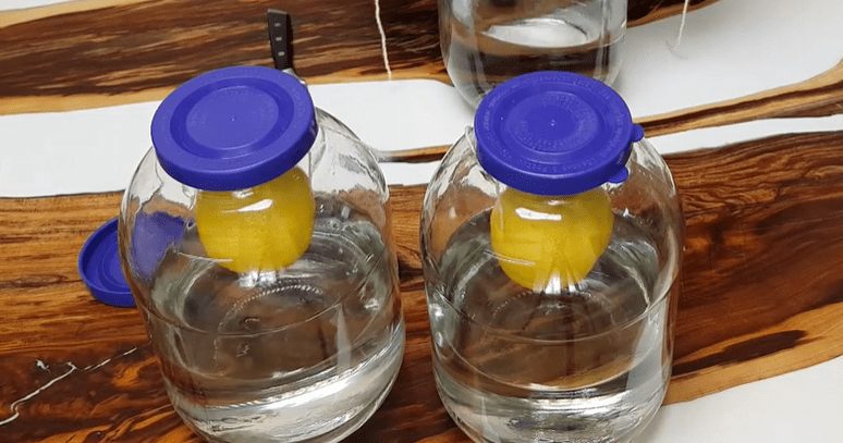 Lemon vodka at home &#8211; a universal recipe