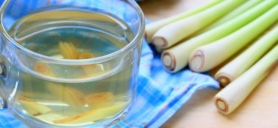 Lemongrass tincture: 4 recipes + properties and uses