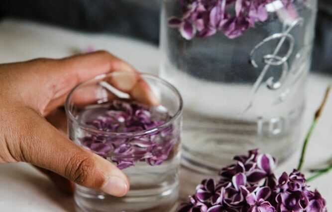 Lilac tincture: 3 recipes at home