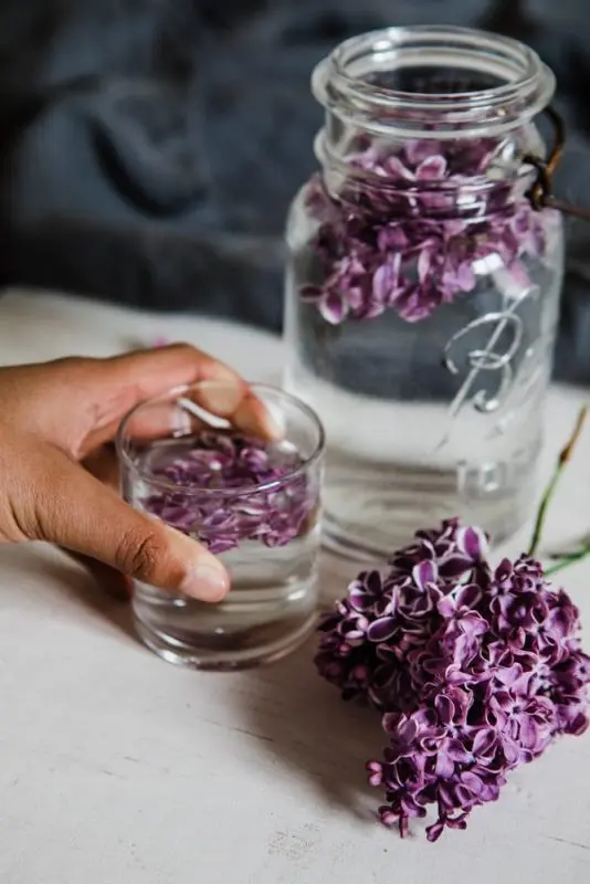 Lilac tincture: 3 recipes at home