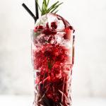 Lingonberry liqueurs on vodka, gin, rum and wine &#8211; 4 recipes