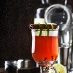 Lingonberry liqueurs on vodka, gin, rum and wine &#8211; 4 recipes