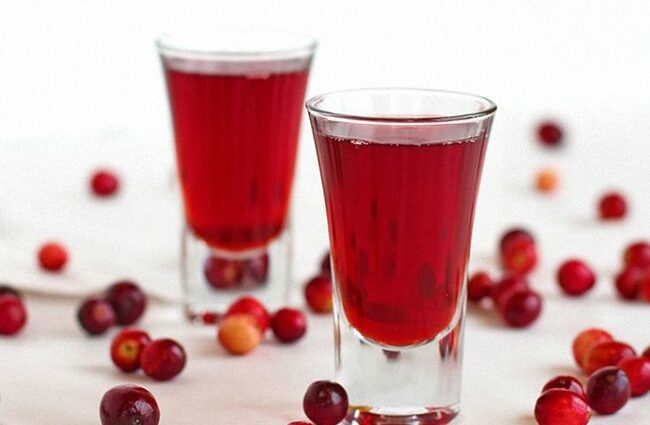 Lingonberry tincture: a recipe for vodka and alcohol