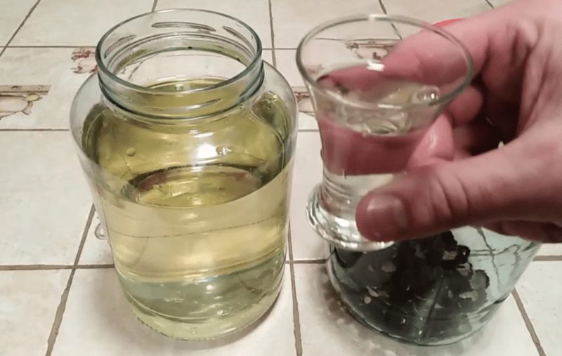 Macadamia tincture and liqueur with video recipe