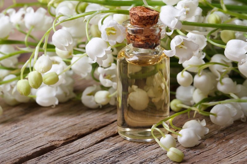 Lily of the valley, essential oil, extract, tincture, infusion, remedy,  herbal capsules. Fresh flowers Convallaria majalis 4518778 Stock Photo at  Vecteezy