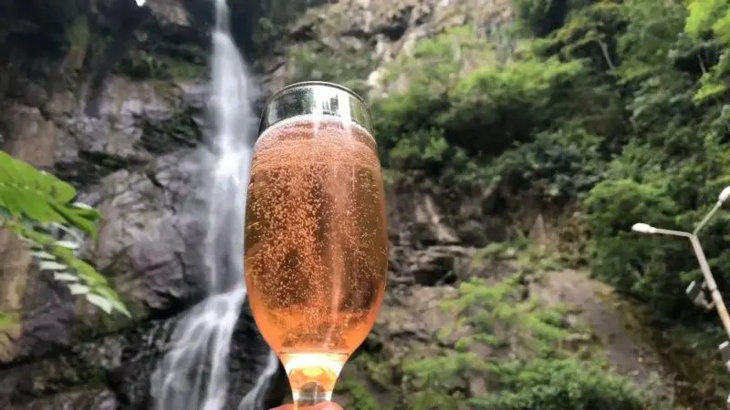 Making champagne at home &#8211; 5 recipes!