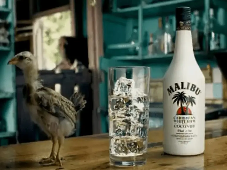 Malibu homemade coconut liqueur