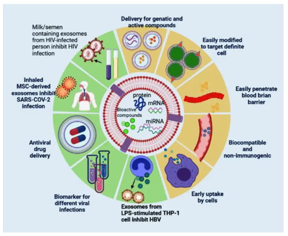 &#8220;Many-faced virus: secrets of latent infections&#8221; V. Zuev