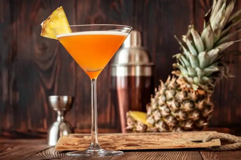 Martini Cocktails &#8211; 35 Best Homemade Recipes