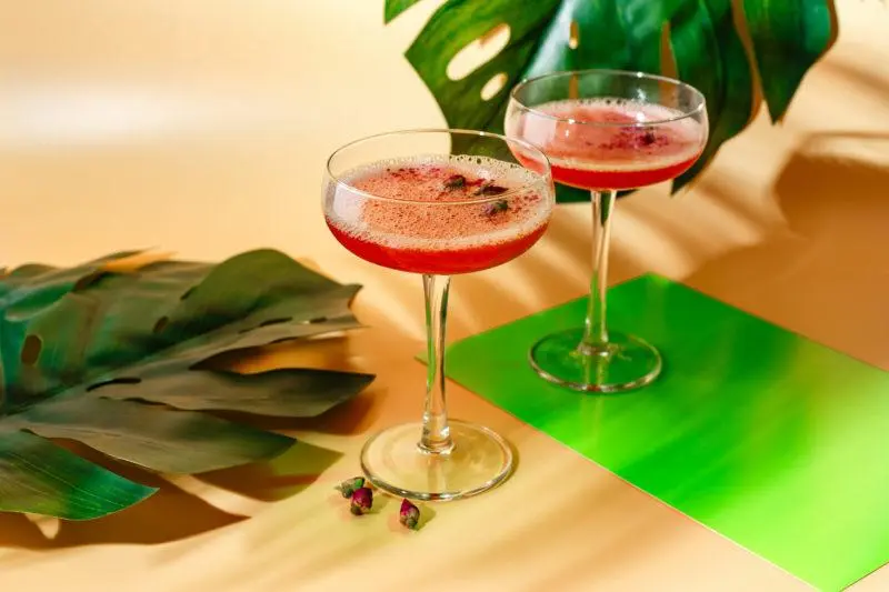 Martini Cocktails &#8211; 35 Best Homemade Recipes