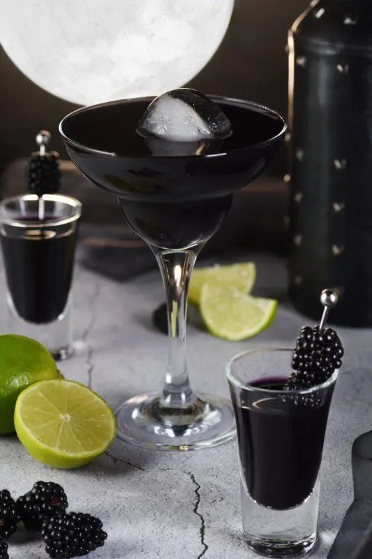 Martini Cocktails &#8211; 35 Best Homemade Recipes