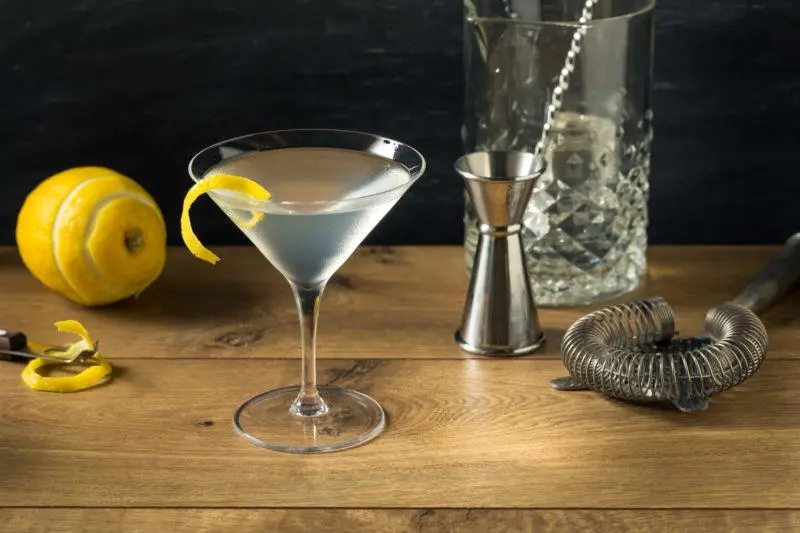 Martini Cocktails &#8211; 35 Best Homemade Recipes