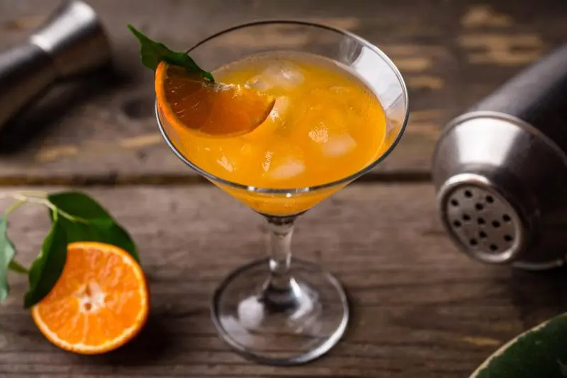 Martini Cocktails &#8211; 35 Best Homemade Recipes