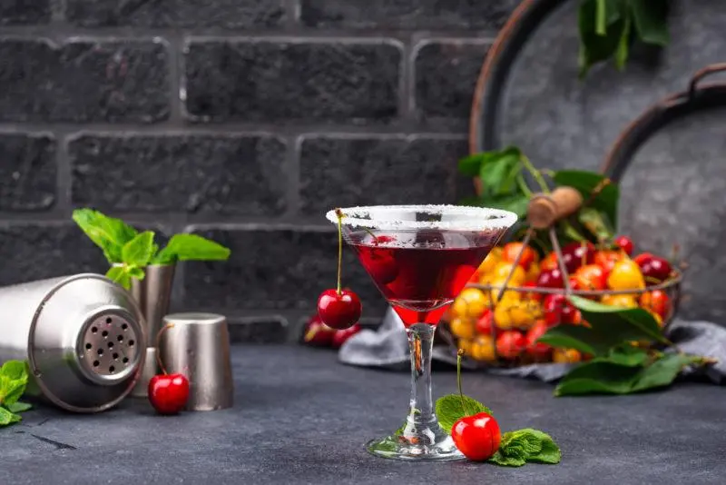 Martini Cocktails &#8211; 35 Best Homemade Recipes