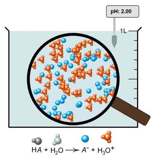 Menu at the molecular level